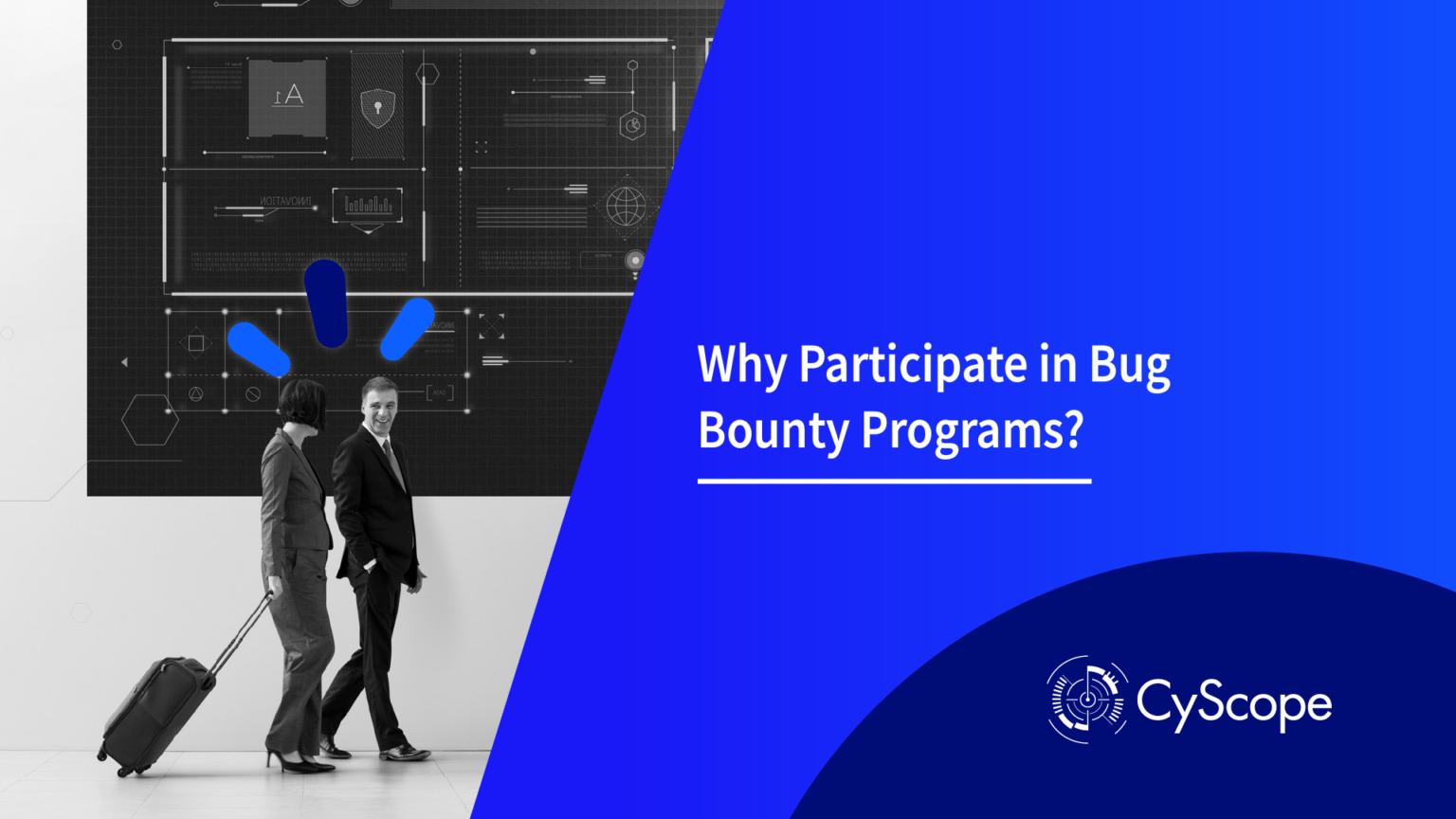 Why Participate in Bug Bounty Programs?